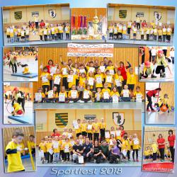 Sportfest der Vorschulkinder 2018